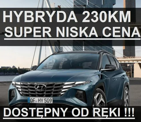 sulmierzyce Hyundai Tucson cena 153200 przebieg: 1, rok produkcji 2024 z Sulmierzyce